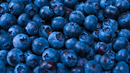 Blueberries in a plastic container isolated on white background.