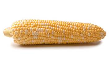 Yellow corn isolated on white background. Copyspace.