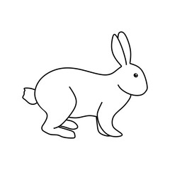 Bunny sketch isolated. Rabbit linear illustration. Rabbit in doodle style. Hare vector eps10