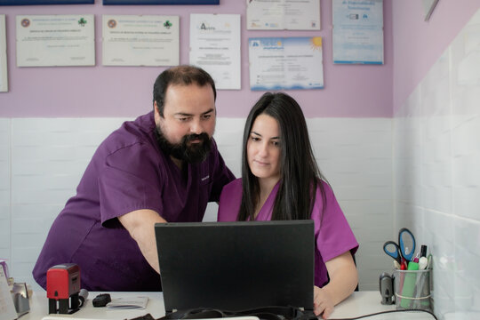 Two veterinarians checking a patient's data on the computer.