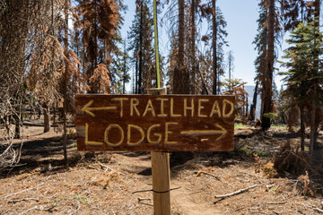 Trailhead Left Lodge Right Sign
