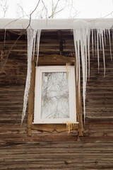 Long, dangerous icicles hang on the edge of the roof, winter or spring. Log wall of an old wooden house with windows. Large cascades of icicles in smooth, beautiful rows. Cloudy winter day, soft light