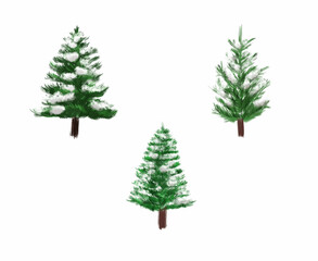 雪が積もったモミの木　リラルなイラスト