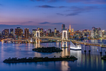 Fototapeta na wymiar Panoramic view of Tokyo cityscape at dusk with Rainbow bridge and Tokyo tower.