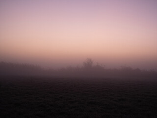 Berlin Brandenburg Landscape Landschaft Sonnenaufgang Nebel 