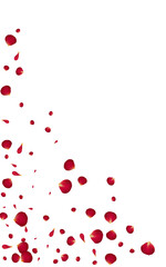 Red Cherry Falling Vector White Background. Fall