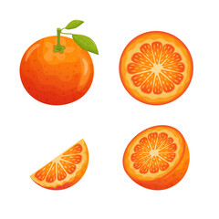 Set of orange fruit slices. Whole orange with leaves, half, slice and circle.