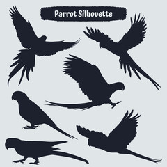 Collection of animal parrot silhouettes vector
