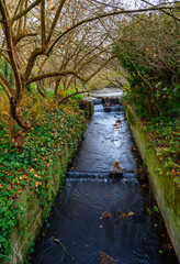 The Beck river with small waterfalls on a cold winter's day in Kelsey Park, Beckenham, Kent, UK.