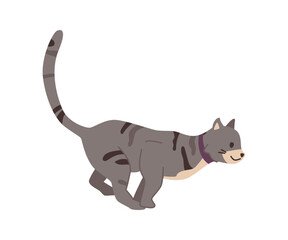 Cat life, isolated kitty with grey fur with spots running fast. Cute domestic pet portrait, active lifestyle and habits of feline animals. Vector in flat style