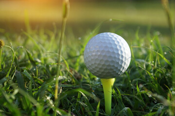 Golf ball on tee ready to play.Golf ball on a green lawn in a beautiful golf course with morning sunshine