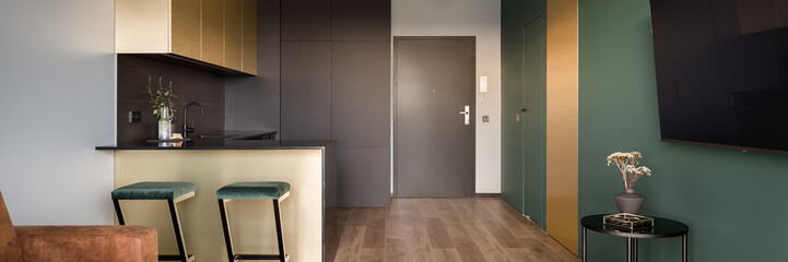 Open layout modern designed apartment, panorama