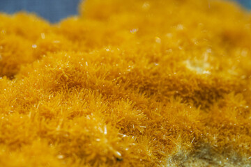Close-up of naturally occurring rare yellow crystalline ore