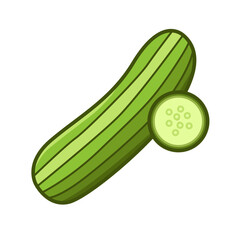 Color Cucumber Fresh Vegetables Vectors Illustration