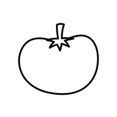 Outline Tomato Fresh Vegetables Vectors Illustration
