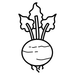 Outline Beat Root Fresh Vegetables Vectors Illustration