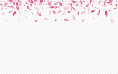 Bright Rosa Vector Transparent Background.