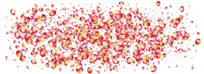 Pink Blossom Tender Vector Panoramic White