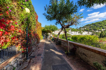 Path in a Garden with trees and flowers. Touristic Town on Capri Island in Bay of Naples, Italy.