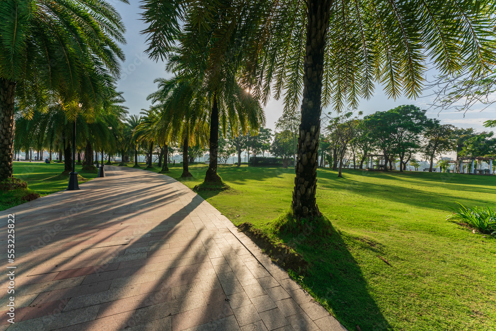 Wall mural City park with modern building background in Ho Chi Minh city, Vietnam