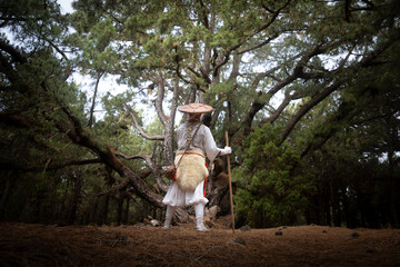 shugendo monk standing and praying in front of large pine tree, el hierro, spain, canary islands