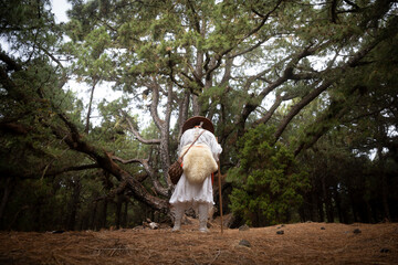 shugendo monk standing and praying in front of large pine tree, el hierro, spain, canary islands