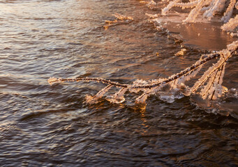 Icebound beautiful bright orange maple leaf afterthe cyclone