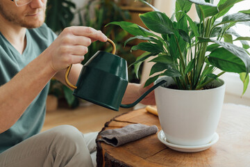 Man watering plants at home from a watering can. Housework and care plant concept. Close-up