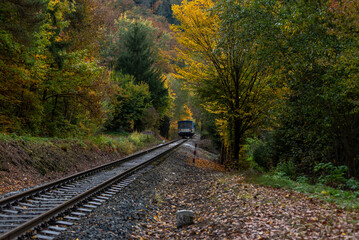 passenger train driving through the autumn forest