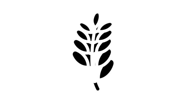 moringa bio vitamin food glyph icon animation
