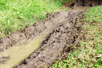 Dirty forest road with puddles pits and SUV tracks