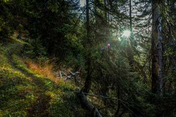 In Vorarlberg nahe dem Arlberg-Pass