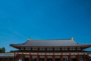 Fototapeta na wymiar 奈良 5月の青空と薬師寺の大講堂