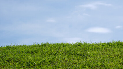 empty green grass foreground with clear blue sky and clouds background