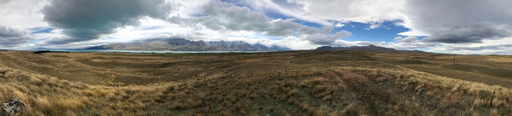 Grassland - New Zealand 