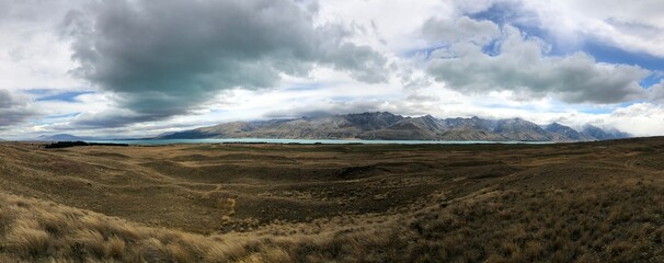 Grassland - New Zealand 