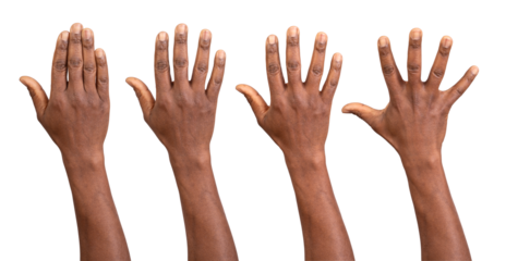 Hands up seen from the back isolated on white or transparent background	
