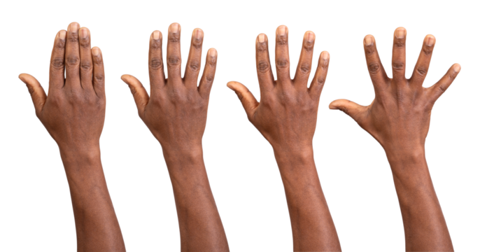 Hands up seen from the back isolated on white or transparent background	
