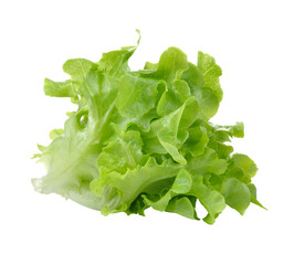 Lettuce isolated on transparent png