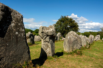  Erdeven. Alignement des menhirs de Kerzerho . Morbihan. Bretagne. France