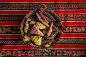 Variety of Peruvian potatoes. In the pachamanca ceremony, lamb, alpaca, pork and beef are cooked....