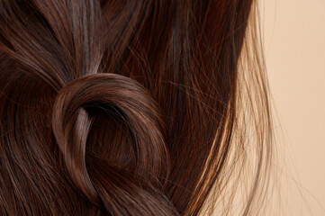 Brown hair tied in a knot on the background of the hair. Close-up. Hair style. Hair care.