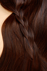 Braid of chestnut hair. The braid is made of dark brown thick hair. Close-up. Hair style. Hair care.