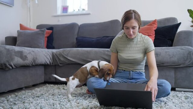 4K video of Young woman sitting on floor in front of sofa at home working on laptop computer with pet dog beside her