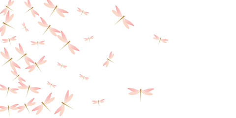 Fairy rosy pink dragonfly isolated vector illustration. Spring pretty damselflies. Simple dragonfly isolated dreamy wallpaper. Gentle wings insects graphic design. Garden creatures