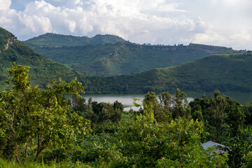 Fototapeta na wymiar Green landscape in Uganda, Africa