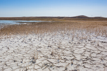 Cracked salty shore of Alakol Lake. Kazakhstan
