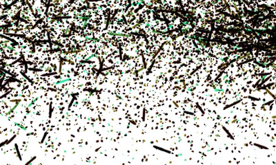 Festive isolated gold green and black confetti overlay