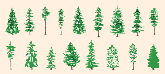 Christmas trees. Fir trees. Textured ink brush drawing. Vector illustration