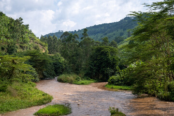 Fototapeta na wymiar Green landscape in Uganda